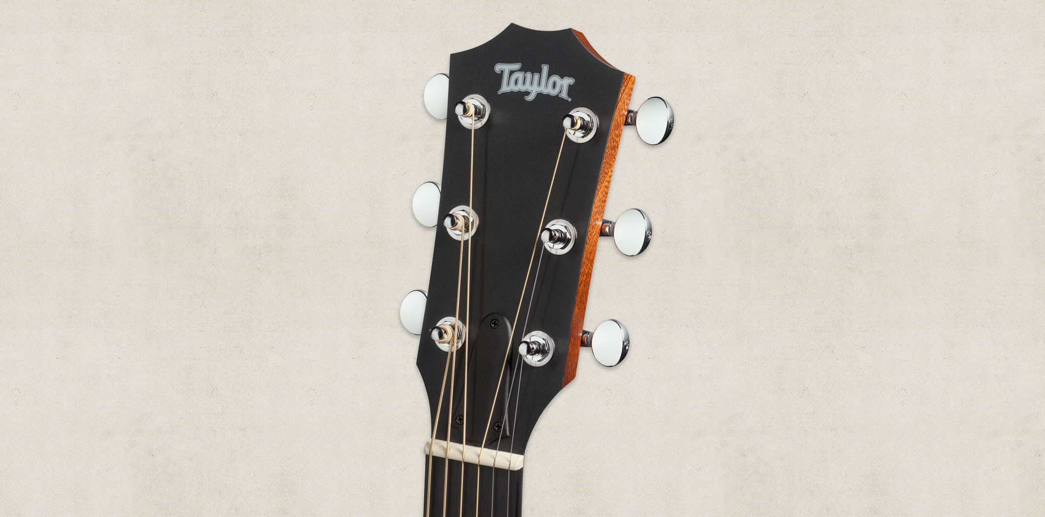 big-baby-taylor-headstock-taylor-guitars-large.jpg?width=525