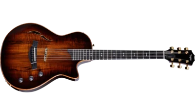 taylor-t5z-custom-1203133141-frontleft-2023.png