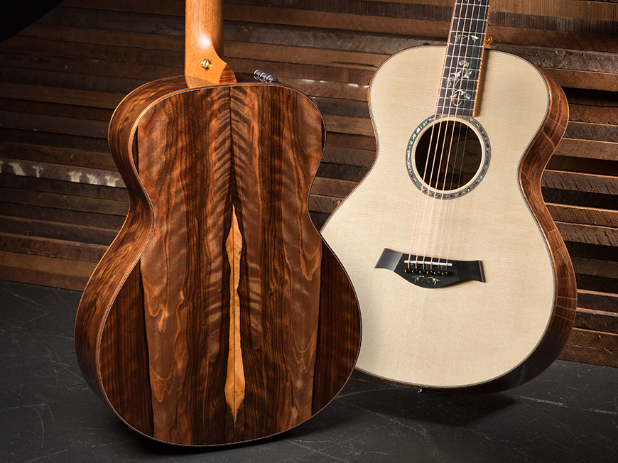 Build Your Own Custom Guitar With Taylor Guitars