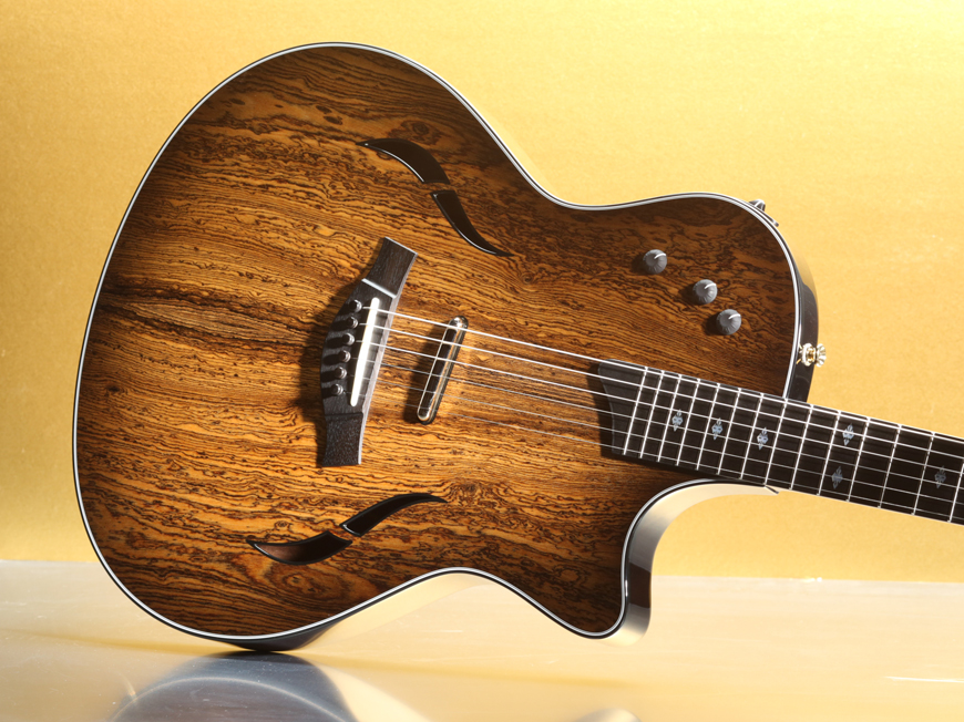 Build Your Own Custom Guitar With Taylor Guitars 5396