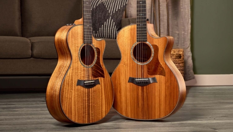 new taylor guitars 2021