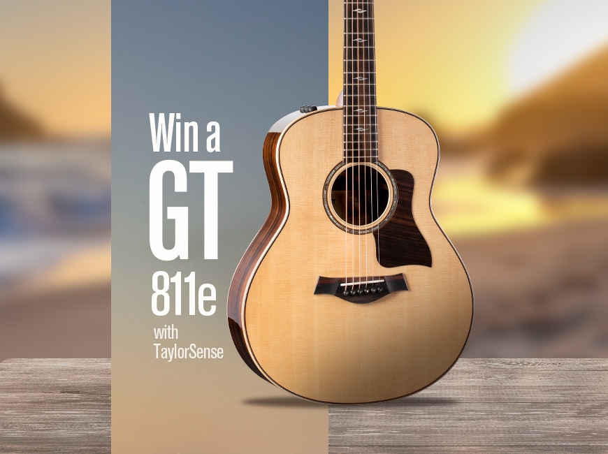 taylor guitar lowest price