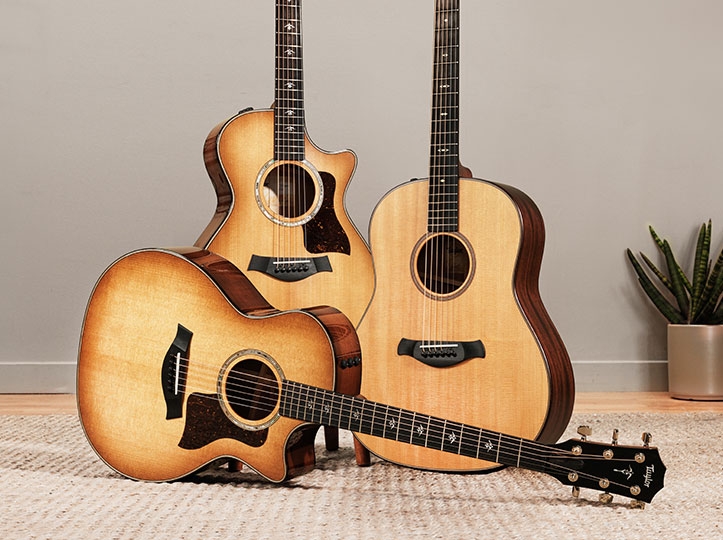 Acoustic Guitars by Series Acoustic Guitar | Taylor Guitars