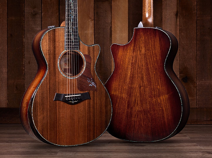 Acoustic Guitars by Series Acoustic Guitar Taylor Guitars