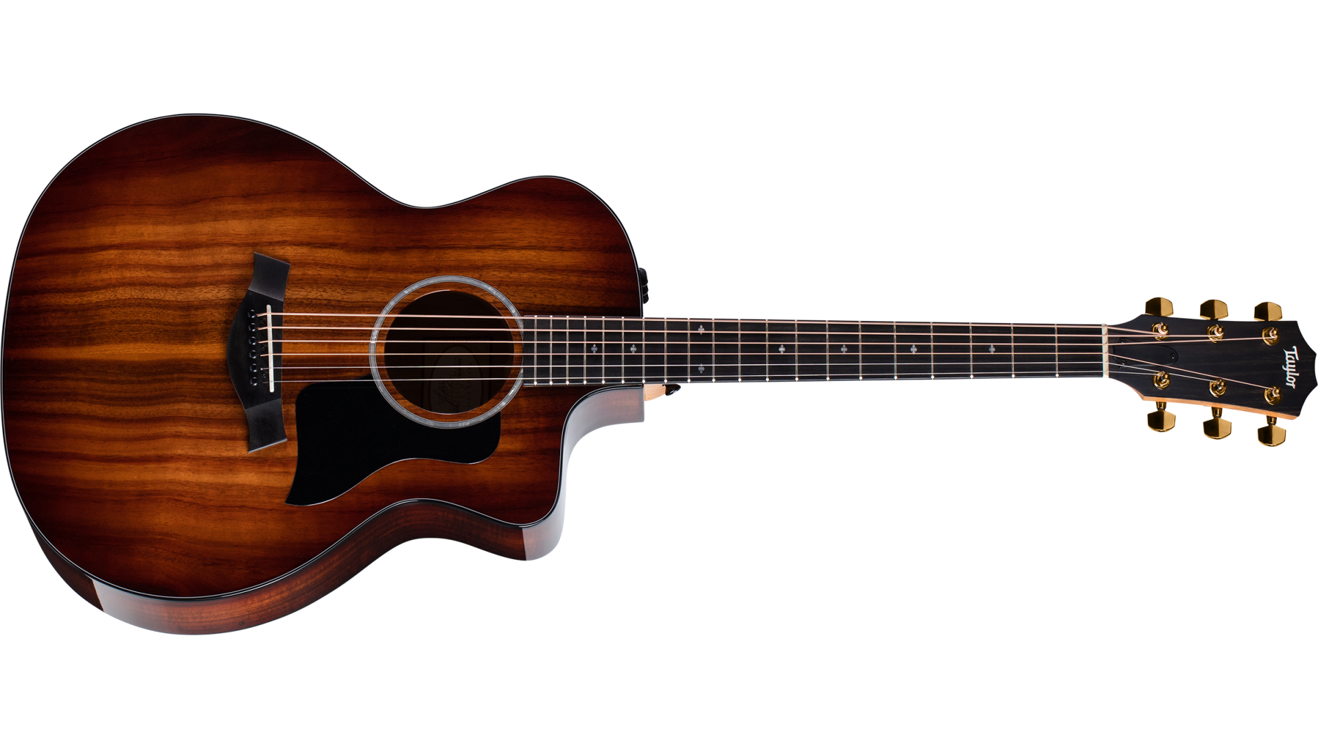 taylor 224 dlx