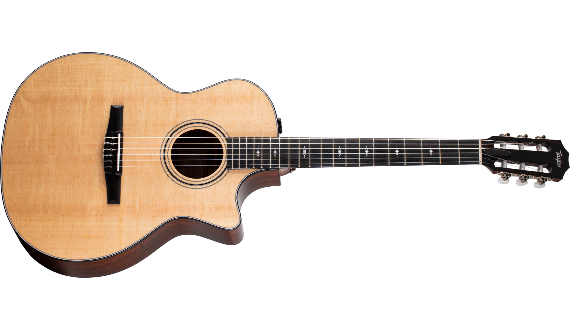 taylor 314ce nylon