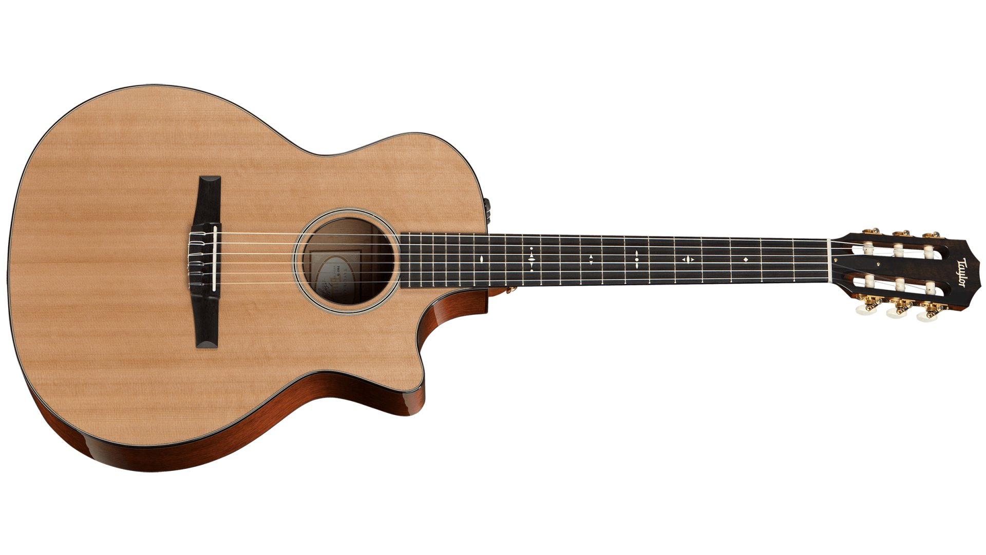 taylor 514ce nylon