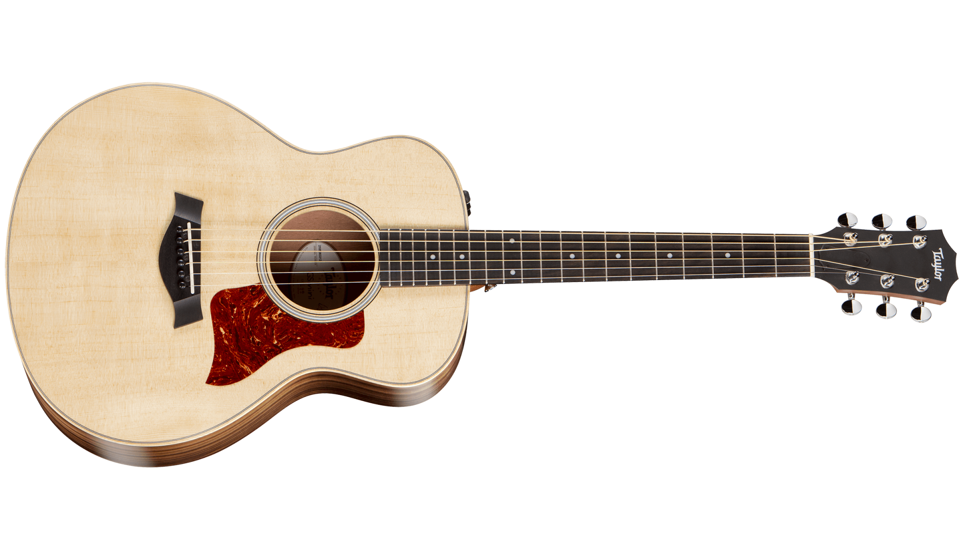 taylor gs mini discontinued