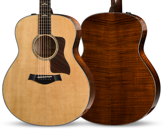 taylor 600 series 12 string