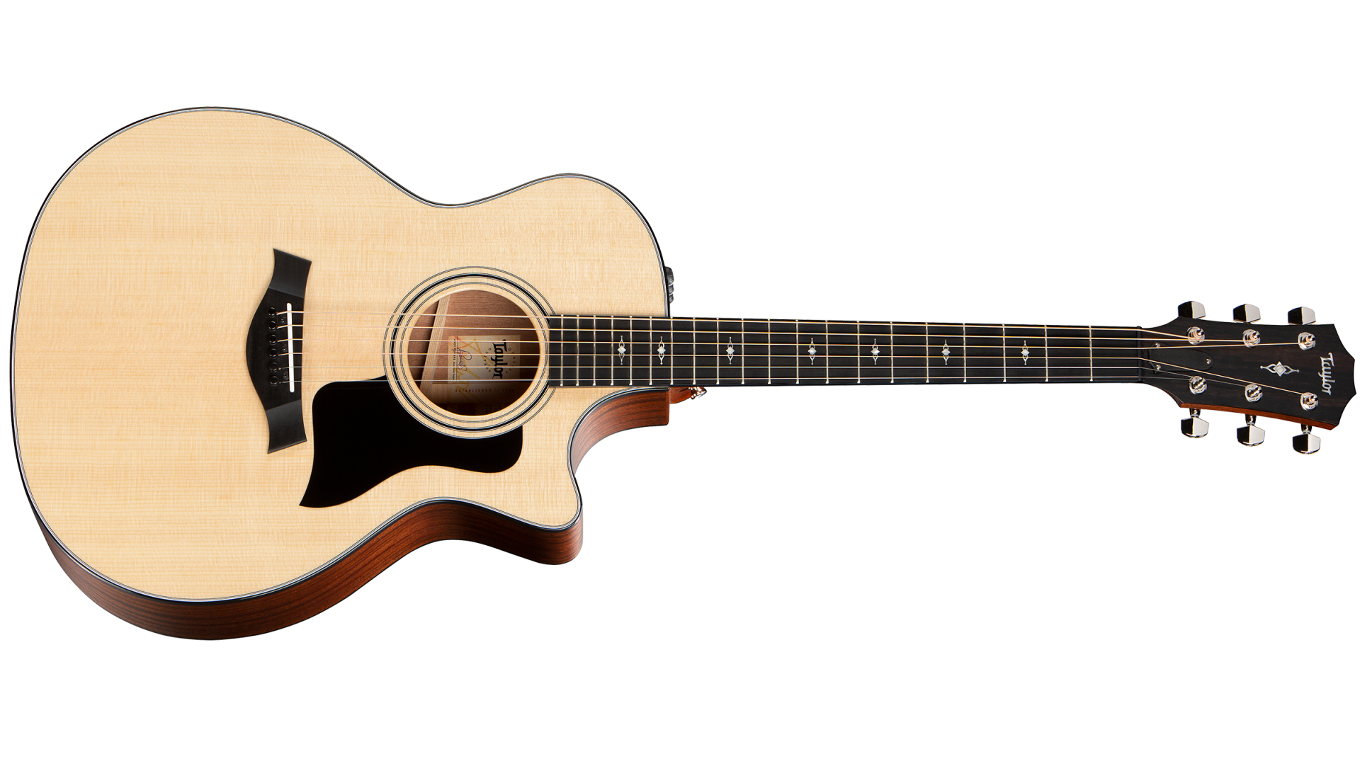 taylor's model 314ce