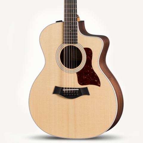 taylor 254ce dlx 12 string