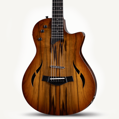 taylor t5z sassafras