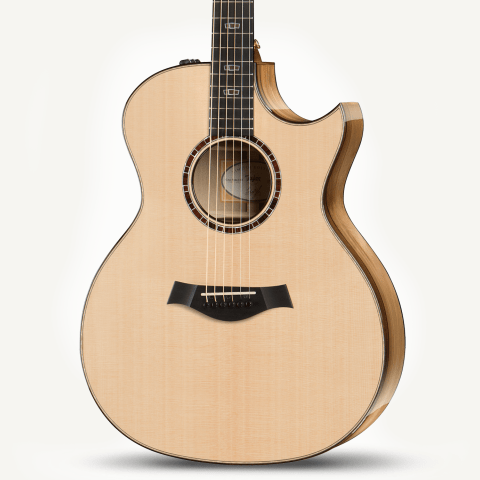 taylor 714ce sassafras