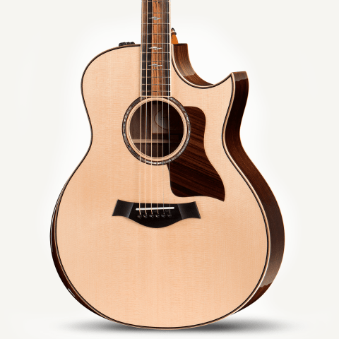 taylor 816ce dlx