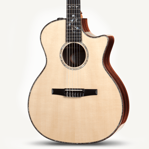 taylor 914ce nylon