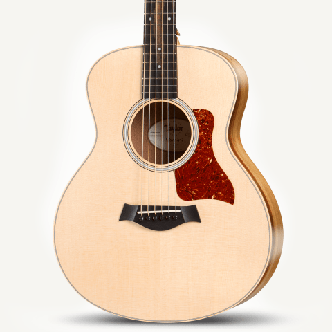 gs mini acoustic