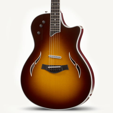 taylor t5 standard