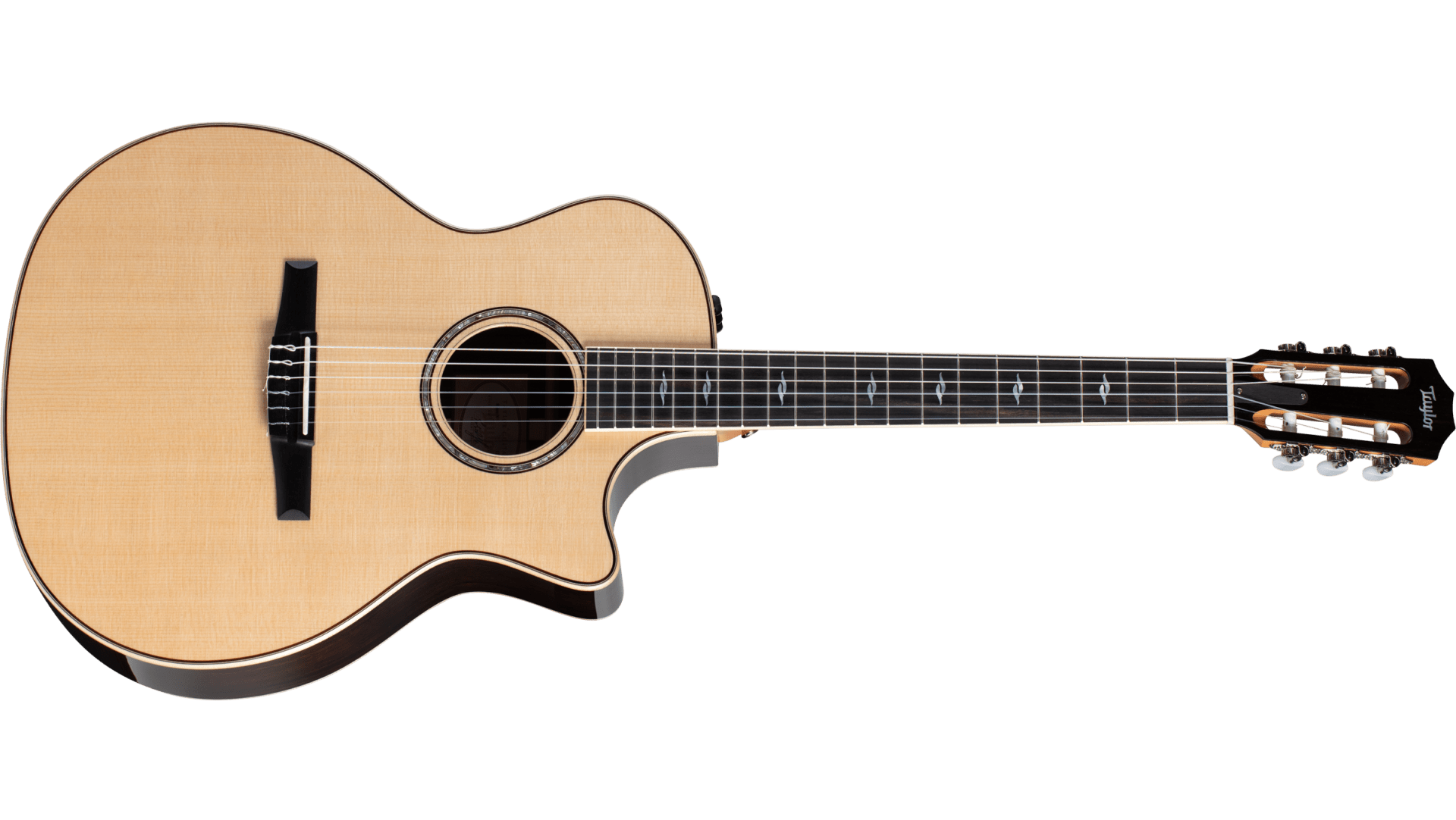 814ce-N Indian Rosewood Acoustic-Electric Guitar | Taylor Guitars