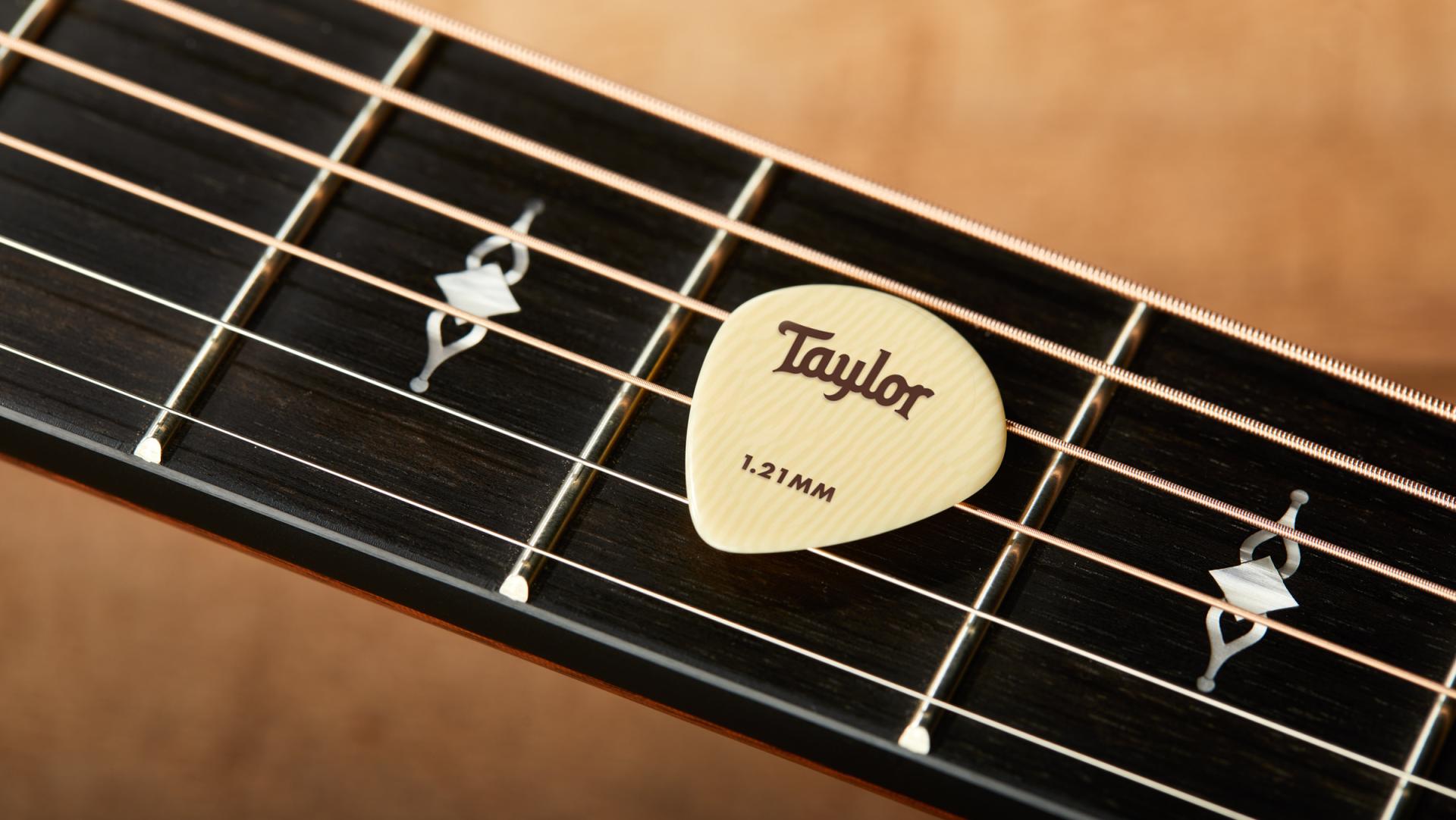 Taylor deals guitar picks