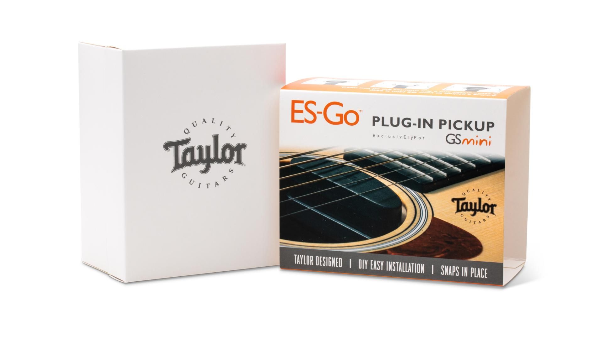 Taylor es go pickup store for gs mini