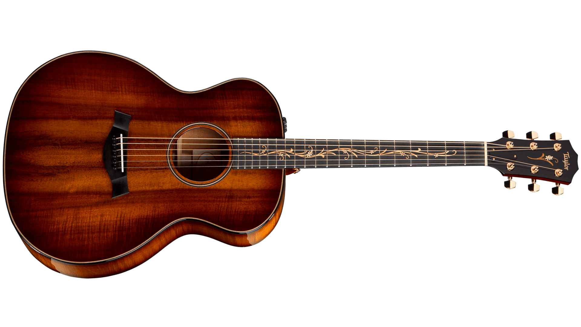 K24e Acoustic Guitar | Taylor Guitars