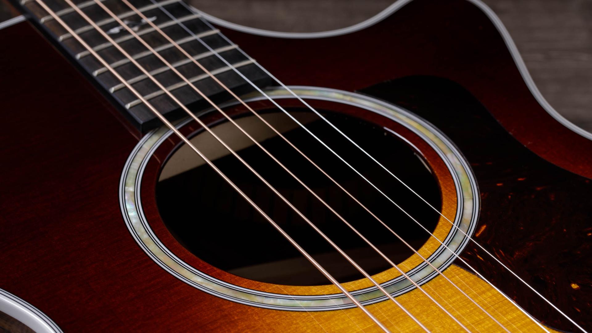 412ce Indian Rosewood Acoustic-Electric Guitar | Taylor Guitars