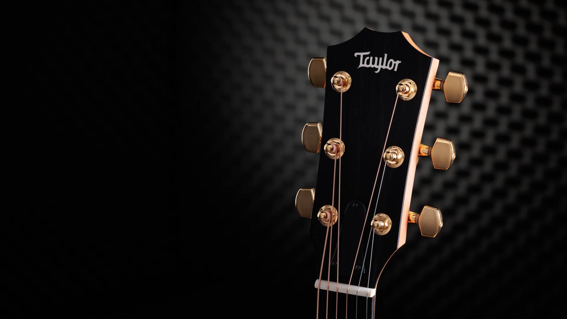 50th Anniversary 217e-SB Plus LTD Indian Rosewood Acoustic-Electric Guitar  | Taylor Guitars