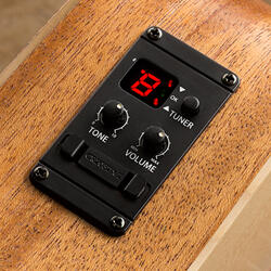 taylor gs mini tuner