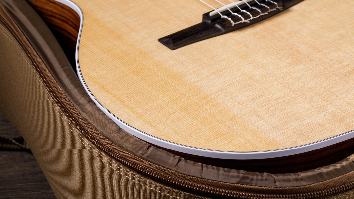 214ce-N Layered Rosewood Acoustic-Electric Guitar | Taylor Guitars