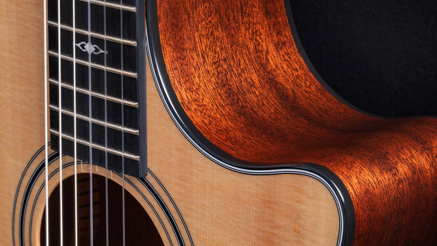 314ce-N Sapele Acoustic-Electric Guitar | Taylor Guitars