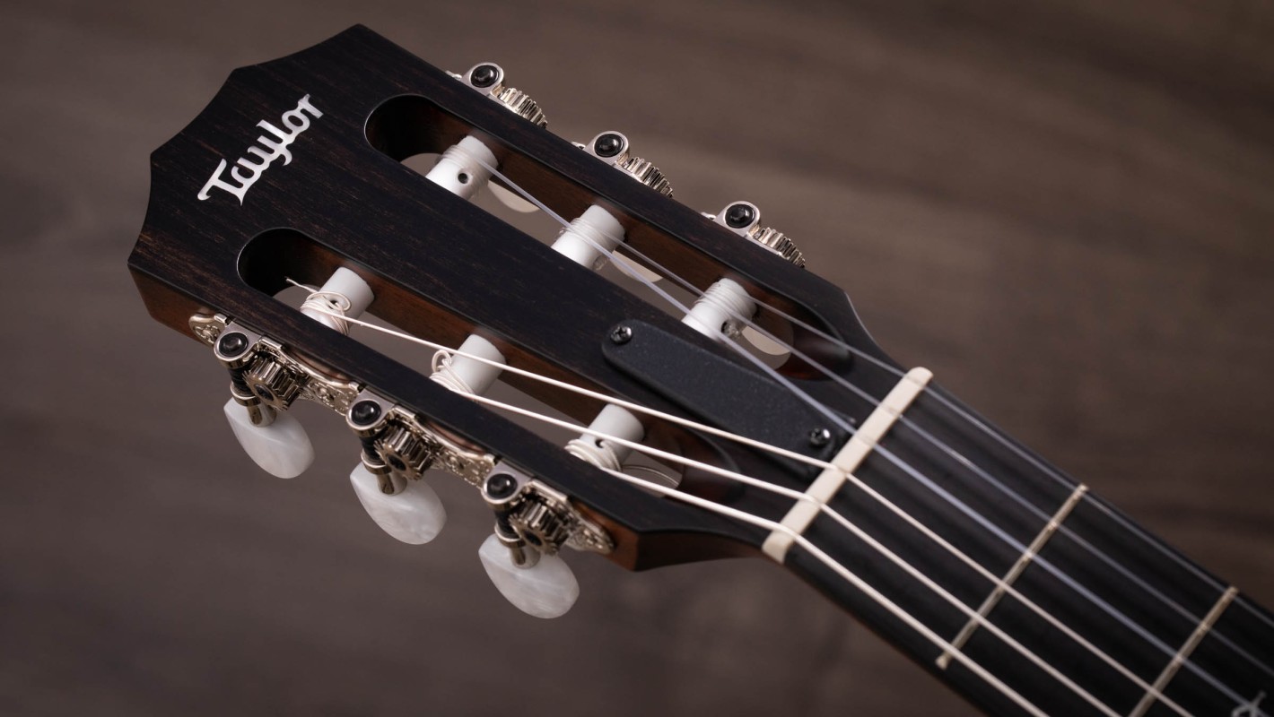314ce-N Sapele Acoustic-Electric Guitar | Taylor Guitars