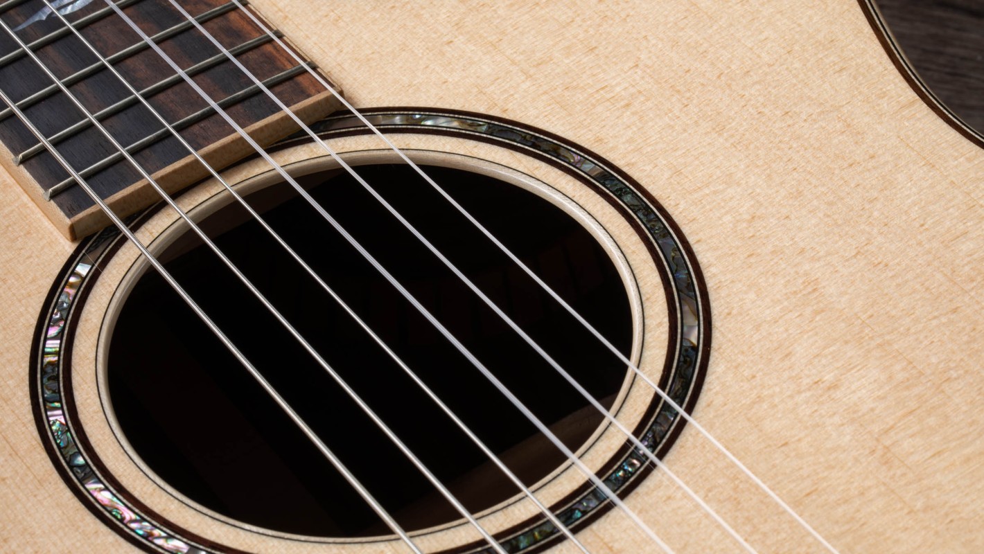 814ce-N Indian Rosewood Acoustic-Electric Guitar | Taylor Guitars