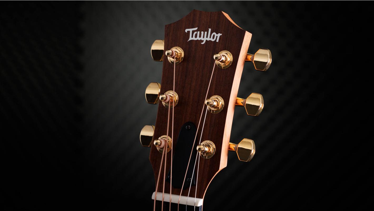 50th Anniversary GS Mini-e Rosewood SB LTD Indian Rosewood  Acoustic-Electric Guitar | Taylor Guitars