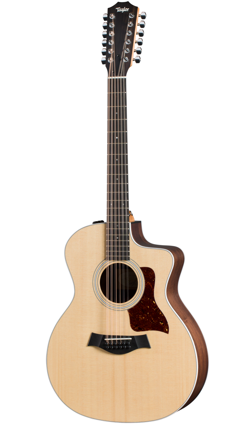 best value 12 string guitar