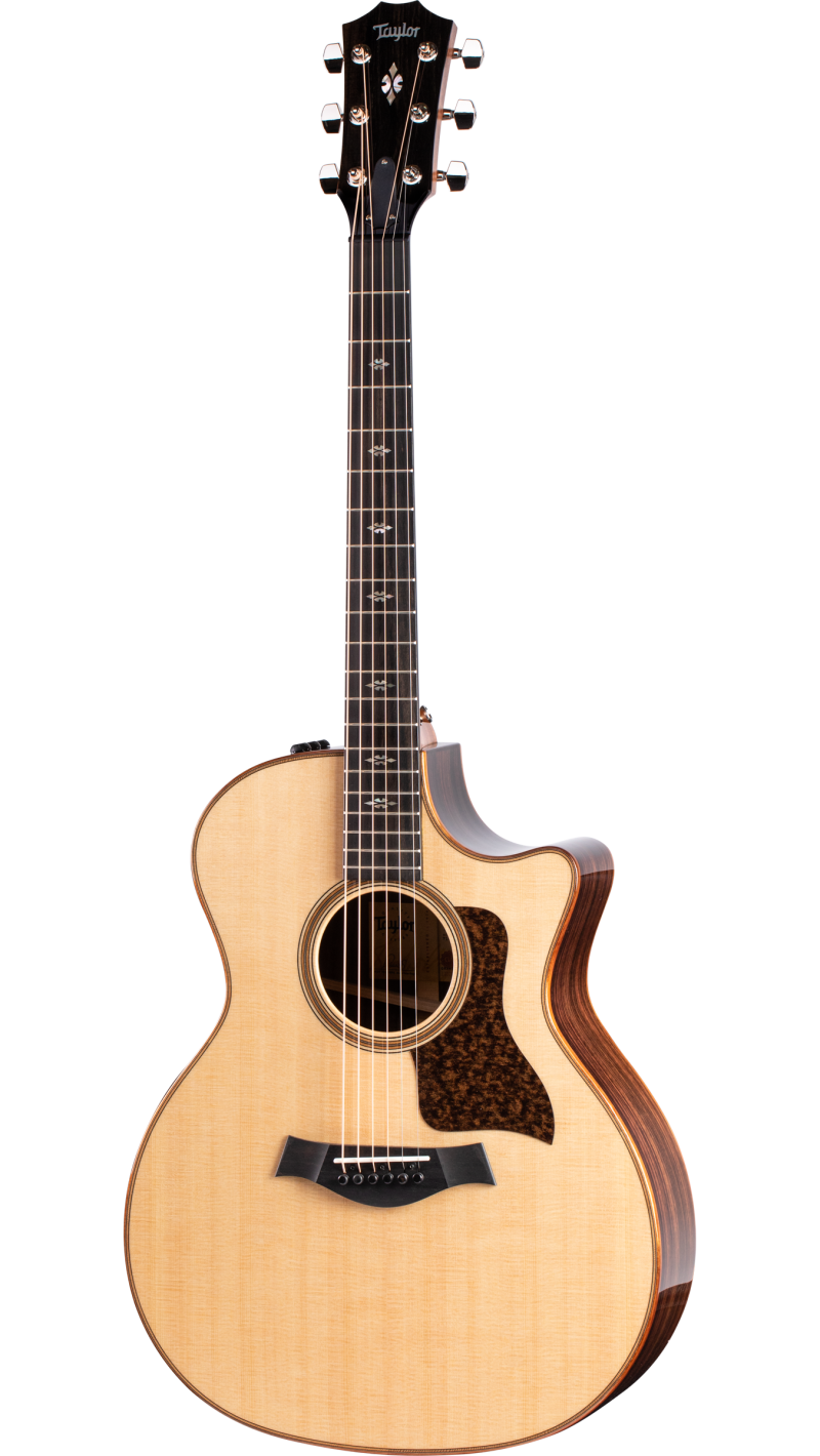 taylor acoustic electric guitar