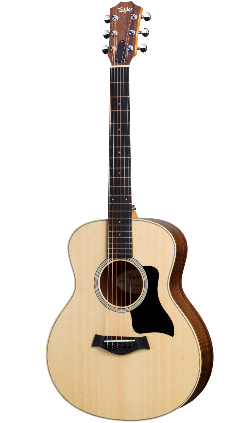 taylor gs mini special edition