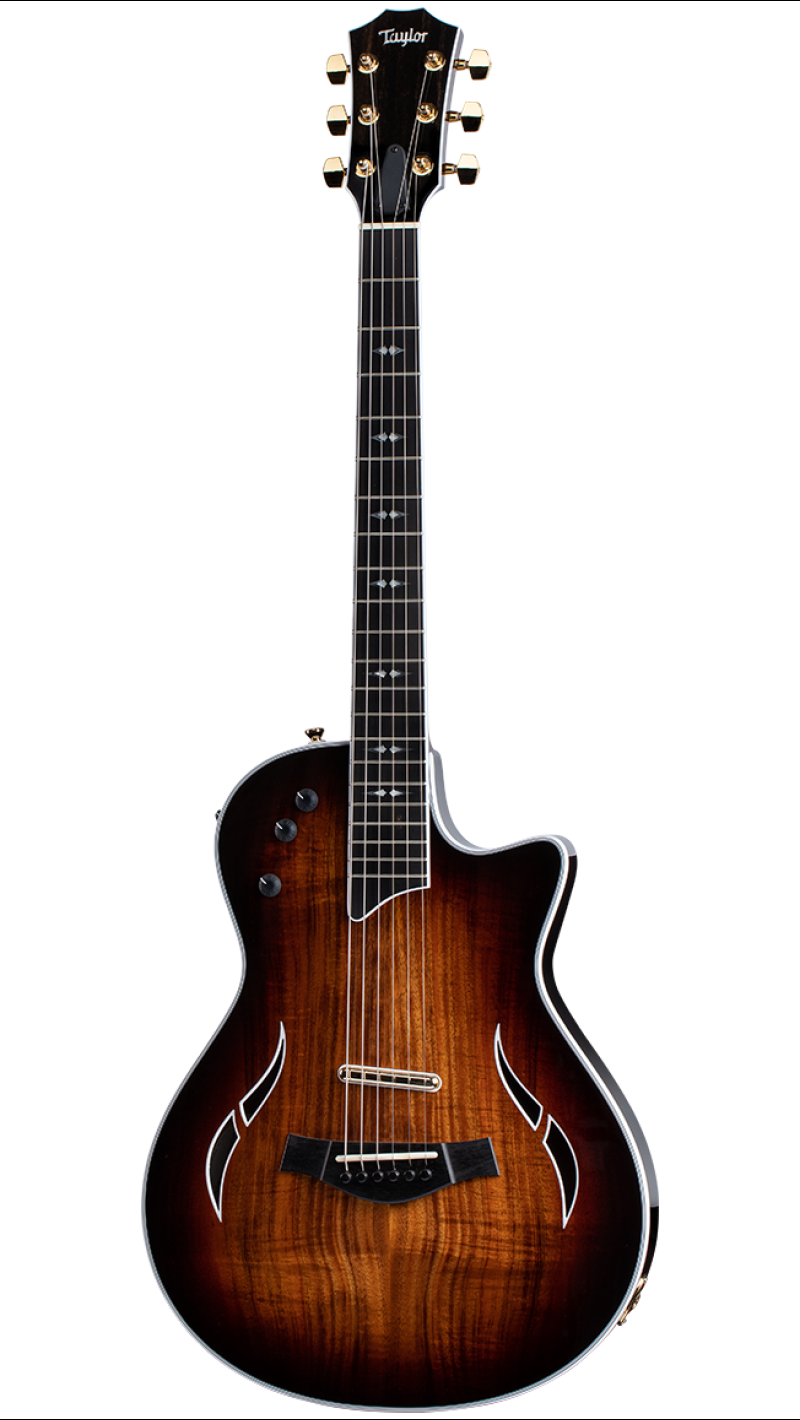 taylor tz5 custom