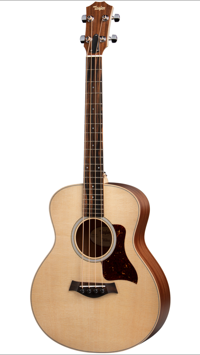 taylor acoustic electric bass