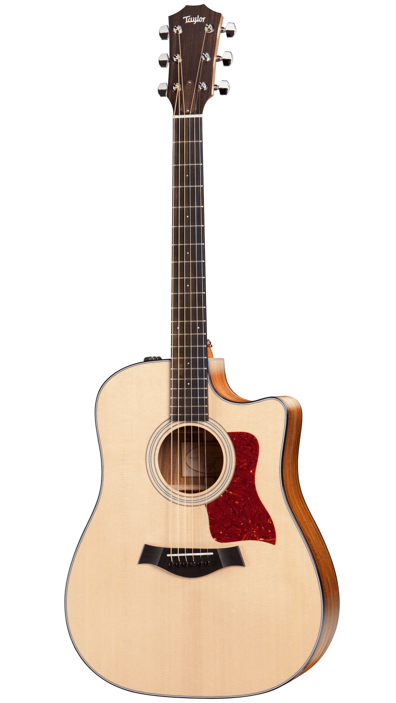 fishman c100