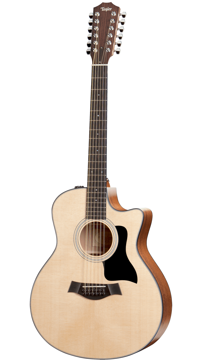 best acoustic guitar in the world