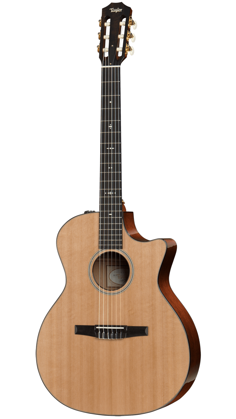 taylor 514ce nylon