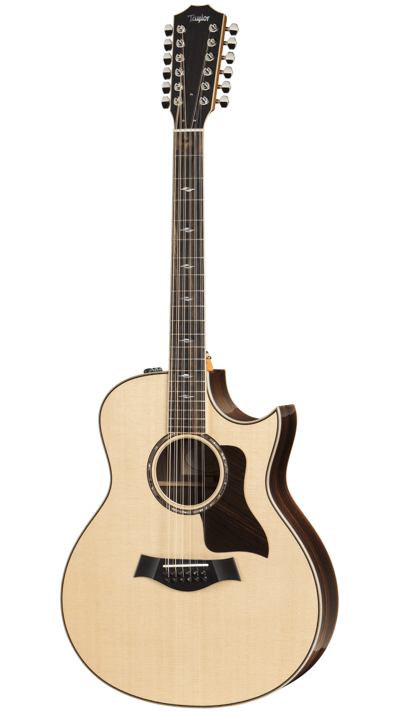 taylor 856ce