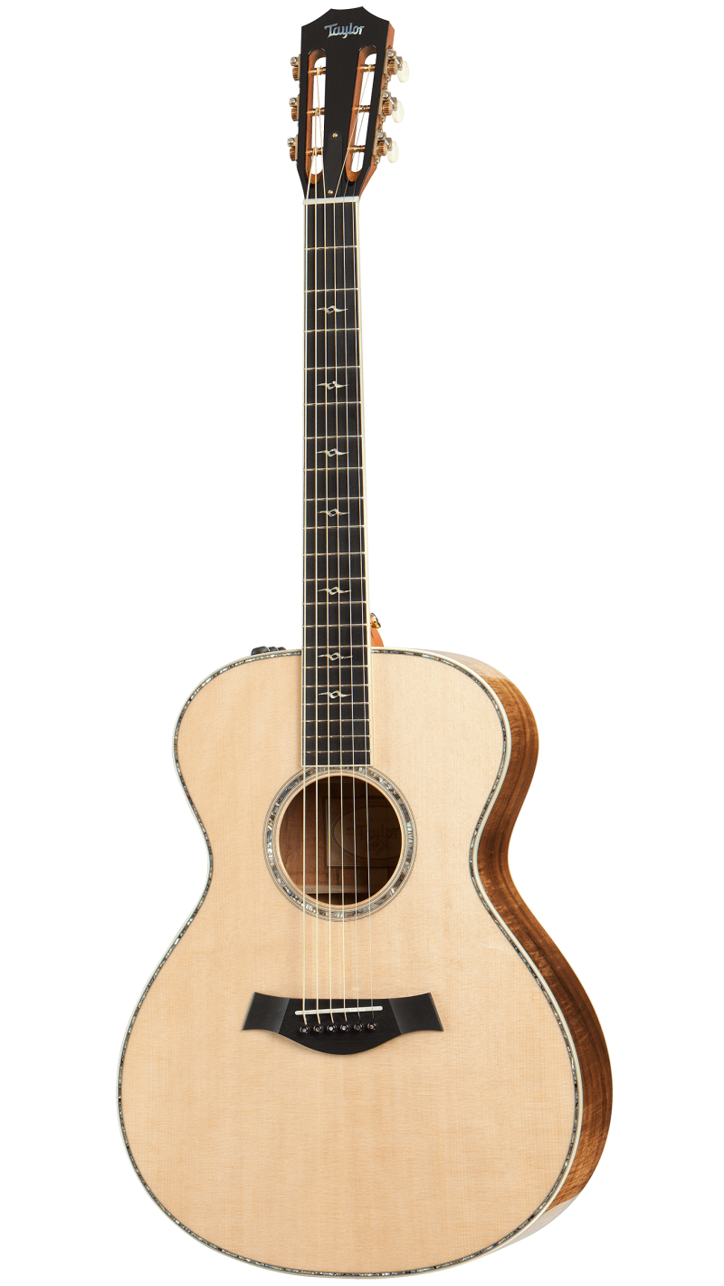 taylor custom gc