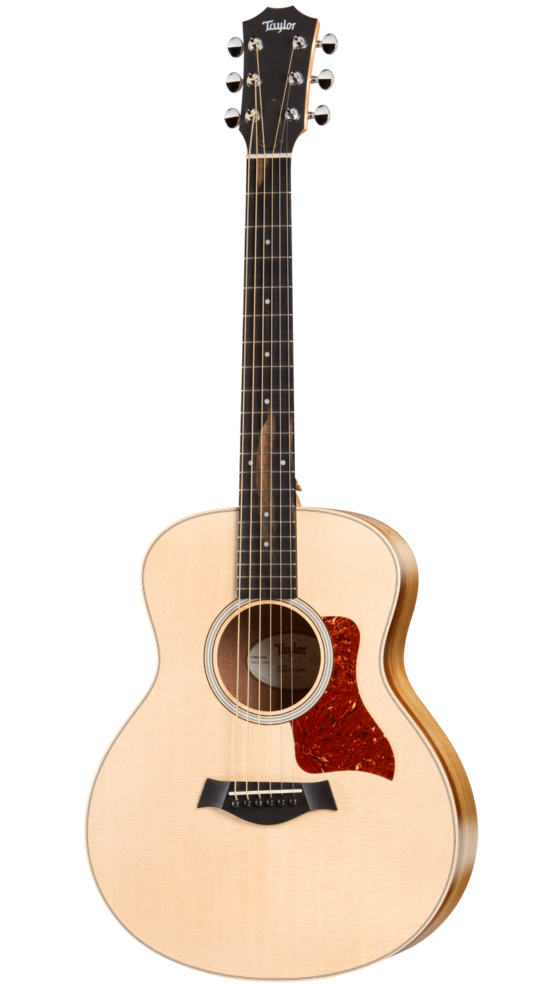 taylor gs mini e