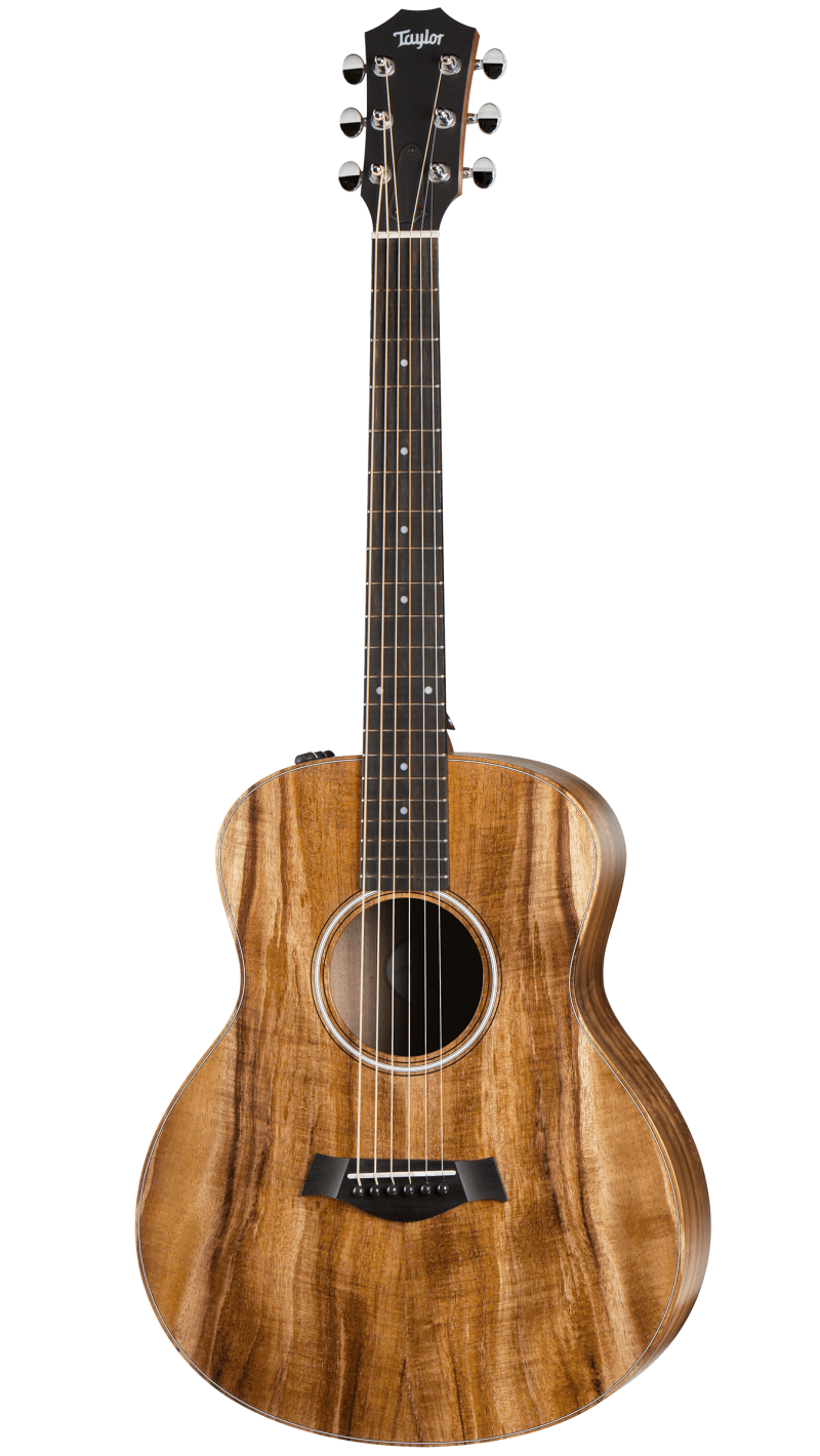 taylor gs mini e