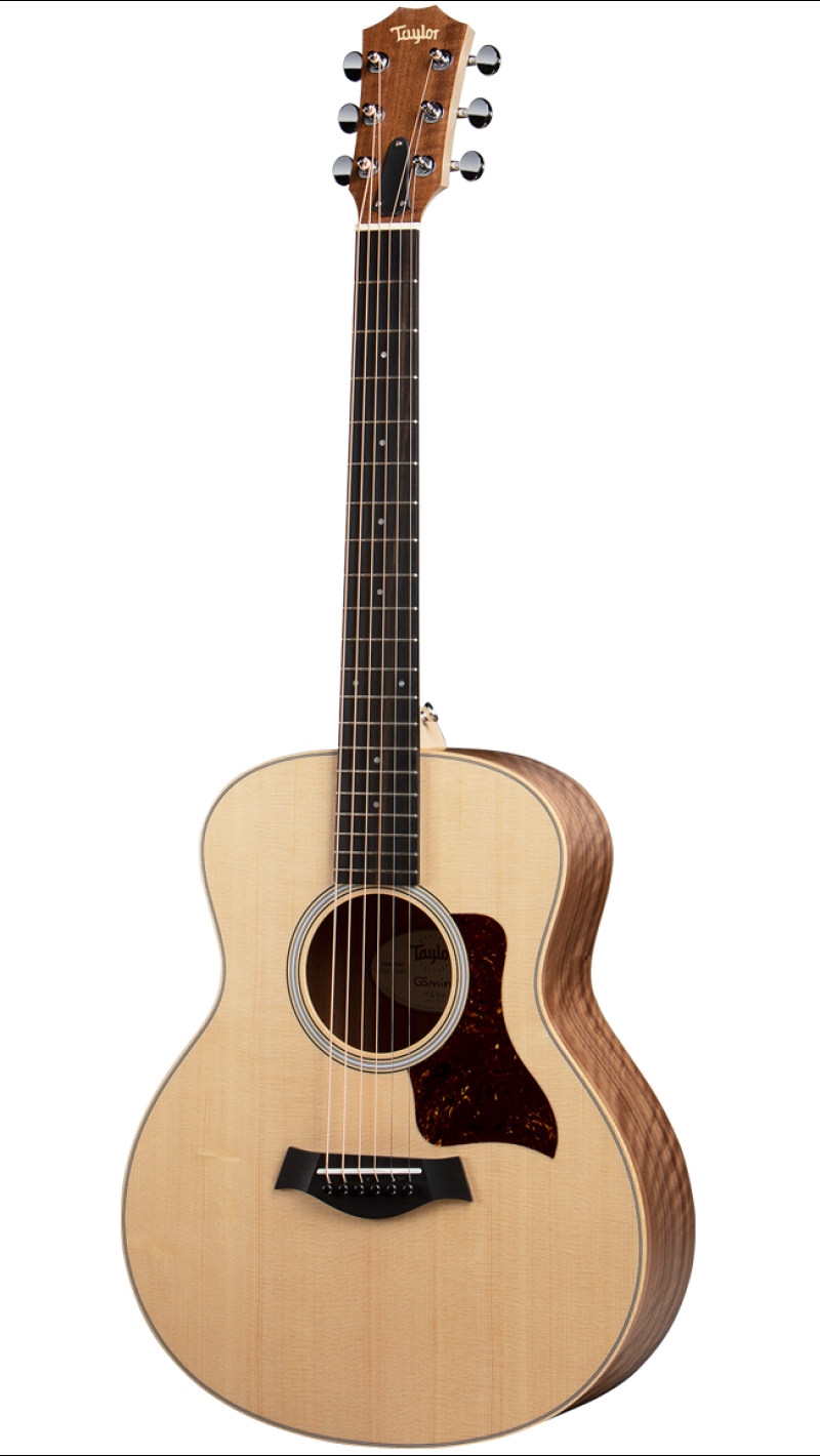 taylor gs mini e price