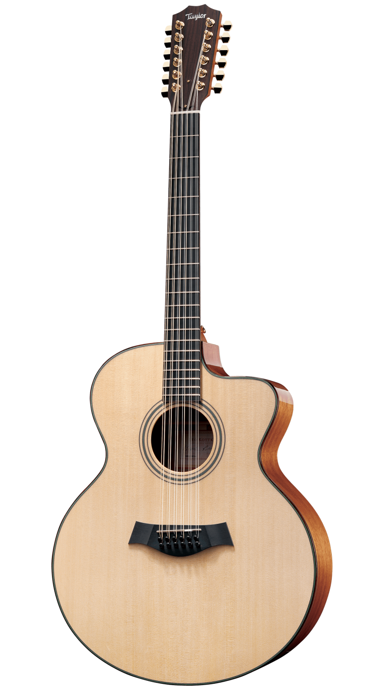 taylor leo kottke 12 string for sale