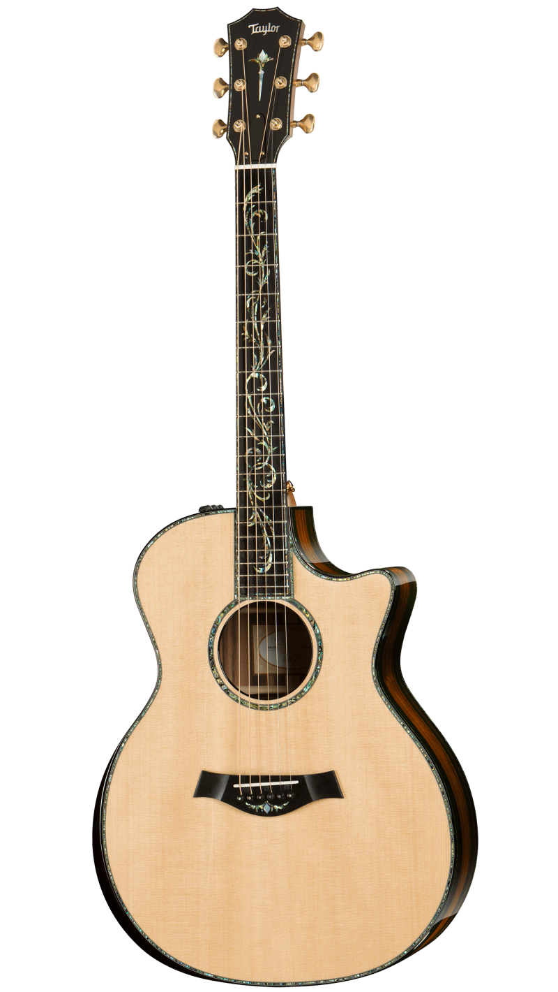 taylor ps14ce price