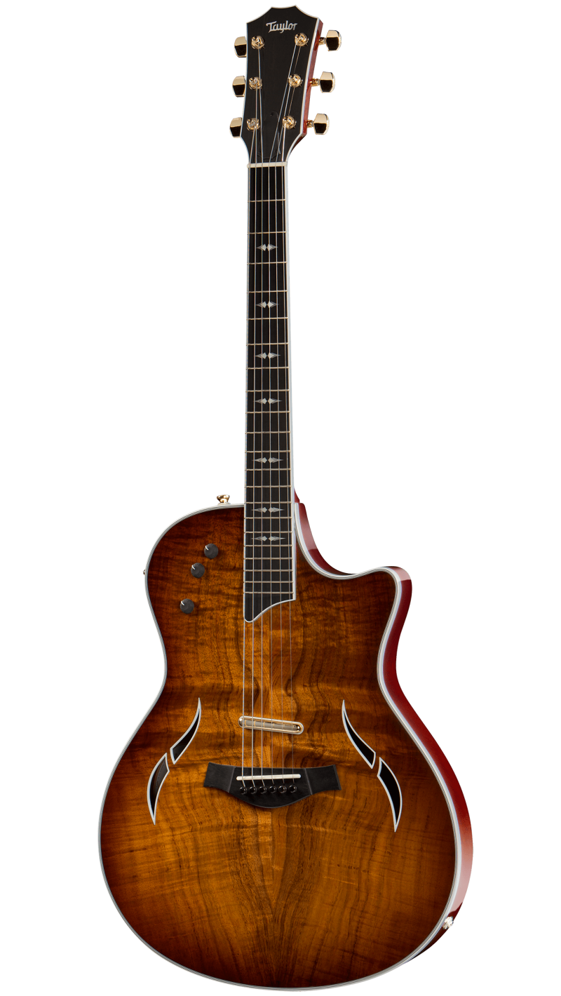 taylor guitars t5