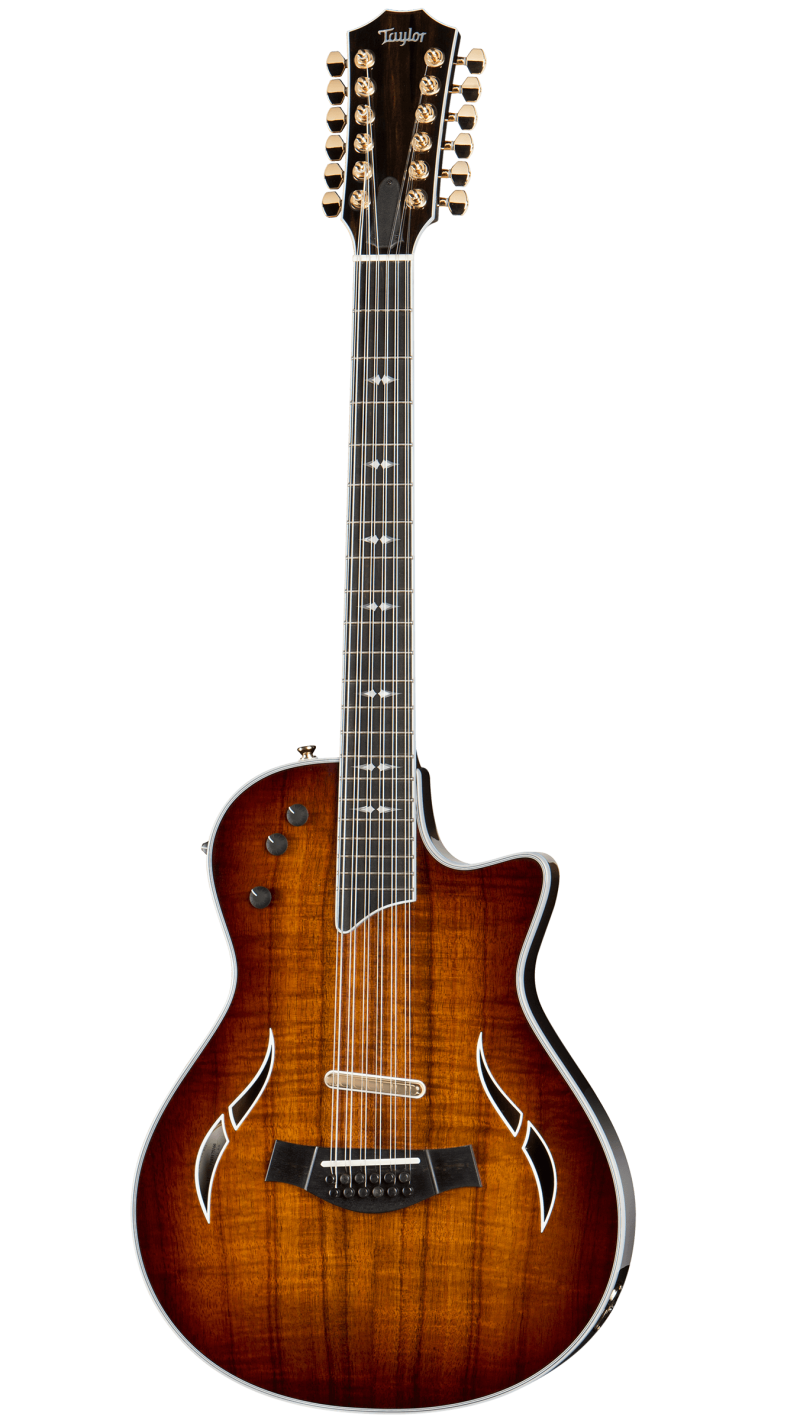 taylor t5z strings